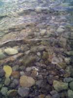Чистая вода моря